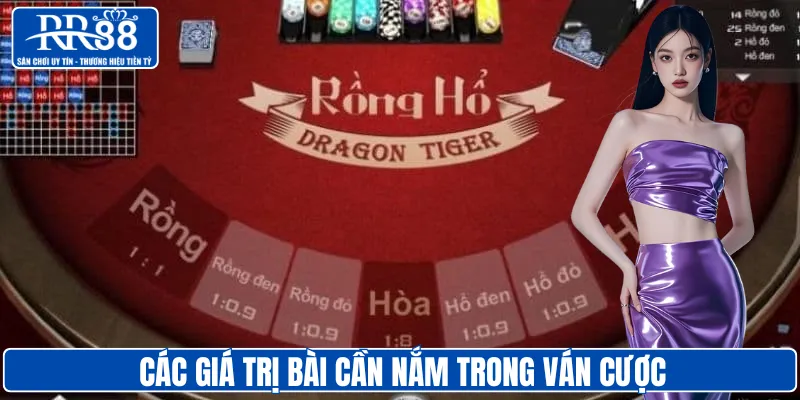 Các giá trị bài cần nắm trong ván cược