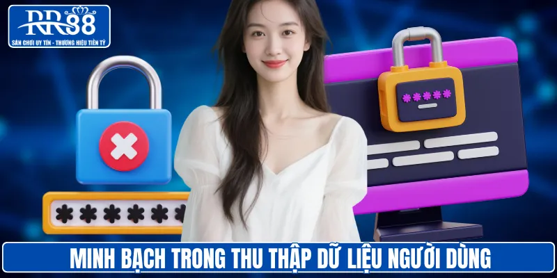 Quy trình thu thập dữ liệu tại RR88